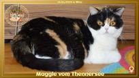 CH Maggie vom Thennersee (DE)